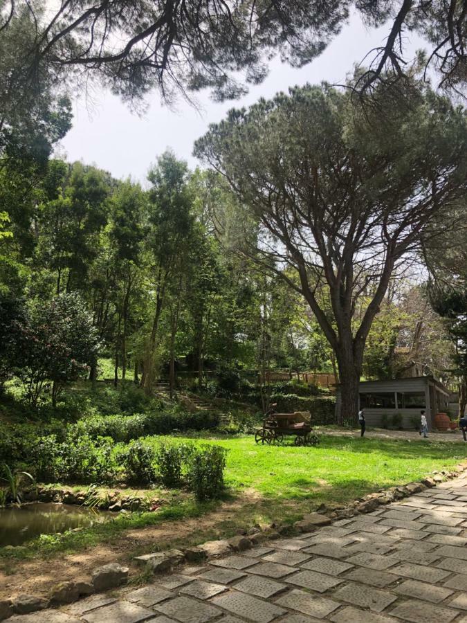 Villa Musolino - Country Resort Messina Eksteriør bilde